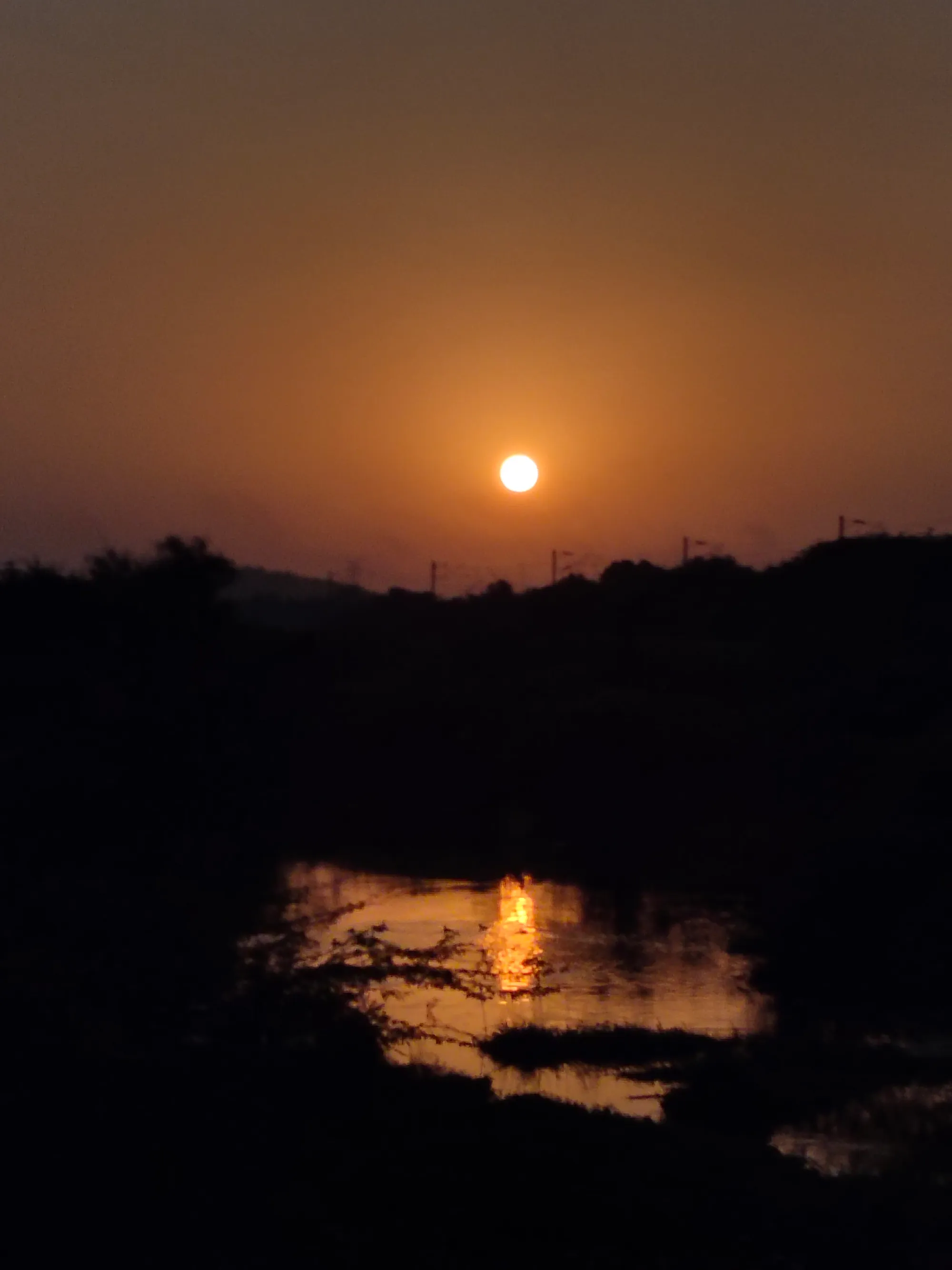Golden sun reflecting on still water